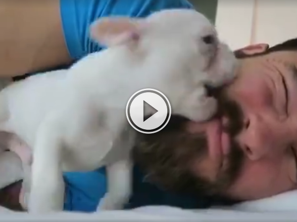 Definitely the cutest way to wake up in the morning (Video)