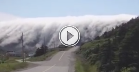 This is how fog rolls to town in Newfoundland; like a tidal wave (Video)