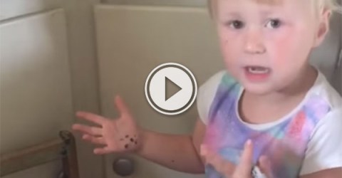 Girl turns sister into a zebra (Video)