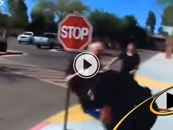 If this whole police thing doesn't work out they should find a team.