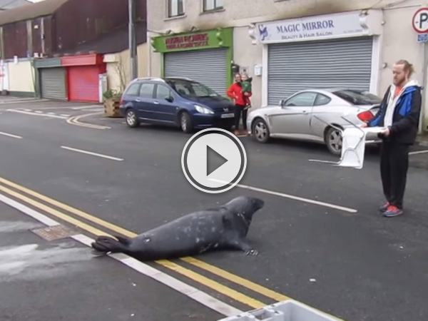 Sammy the seal is one greedy seal, we wouldn't leave till he's fed.