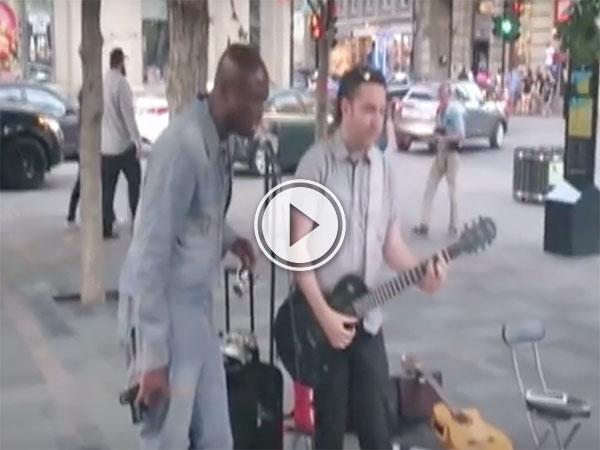 Seal joins a street magician in Montreal (Video)