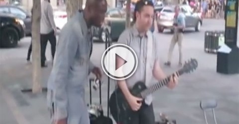 Seal joins a street magician in Montreal (Video)