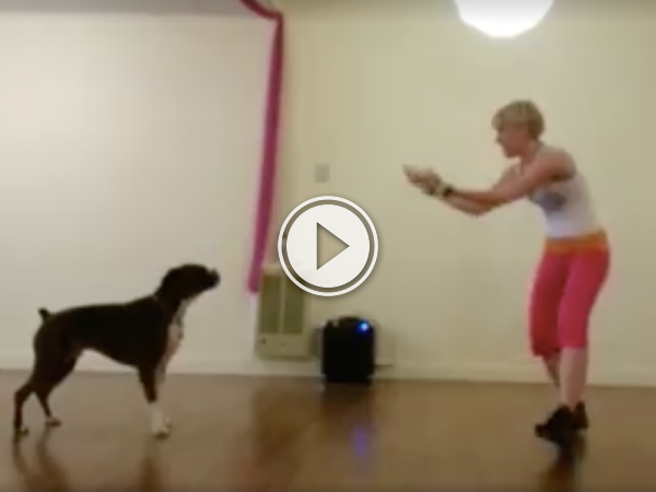 People can Zumba, dogs can Zumba, everyone can Zumba! (Video)