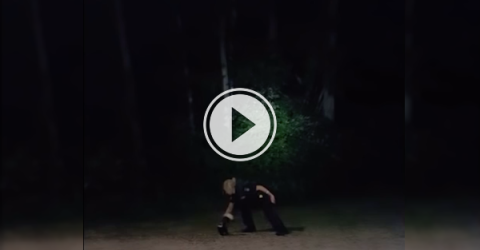 North Bay officers help a skunk in need (Video)