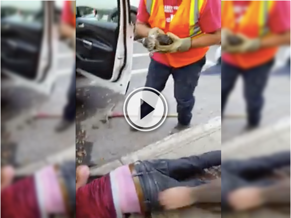 Diving into a sewer isn't a big deal, if it means saving a kitty! (Video)