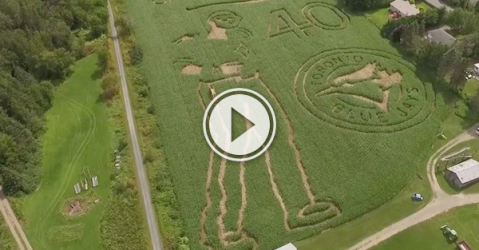 Now this is one hell of a bat-flippin' awesome corn maze! (Video)