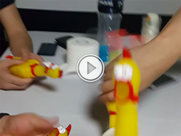 Rubber chickens lay down an EDM beat (Video)