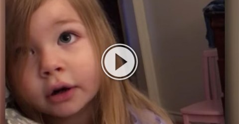 Daughter tells father off for leaving toilet seat up (Video)