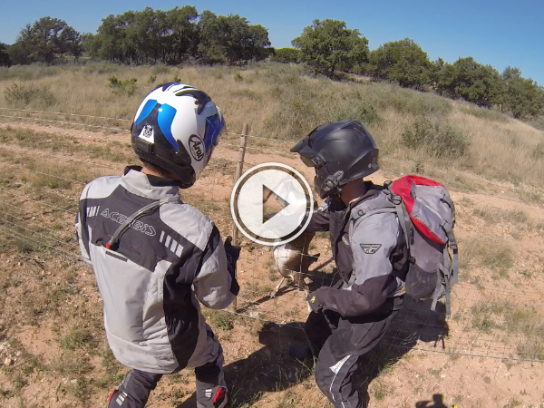 Dirt Bikers rescue deer caught in barbed wire