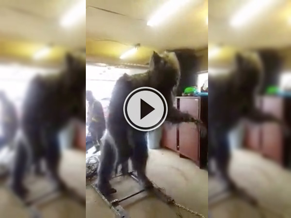 Someone's gonna get one hell of a surprise on Halloween! (Video)