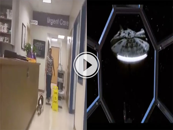 Happy dog sounds like TIE fighter from Star Wars (Video)