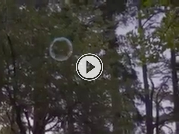 This is a bizarre and sombre video in honour of the Royal visit (Video)