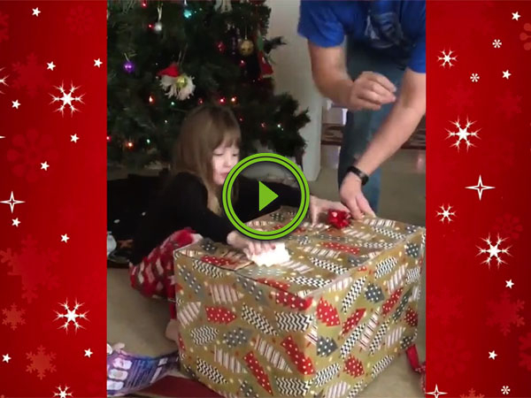 Little girl gets stealth cat for Christmas (Video)