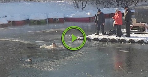 Russian man jumps into freezing water to rescue dog