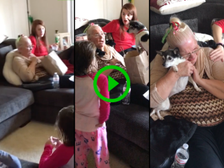 Grandma gets a surprise puppy for Christmas
