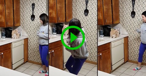 Cat won't let women near kitchen cupboard (Video)