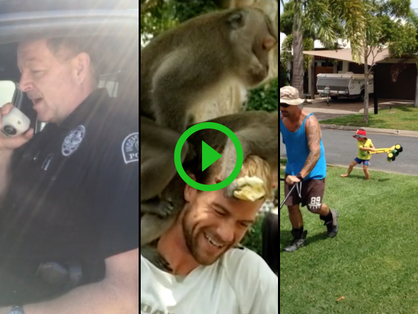 The $5000 user submitted video winner and top 5 videos of 2016!