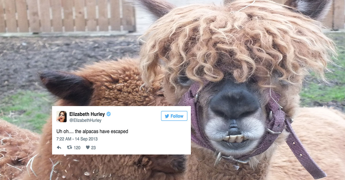 Rich middle class problems that aren't really problems (25 Photos)