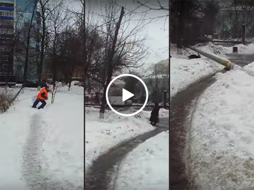 Women survives near-fatal tree felling accident (Video)