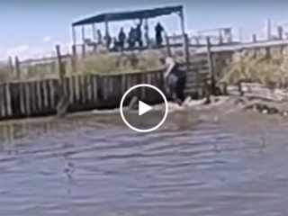 Man survives close call at Gator farm, nearly gets bitten (Video)