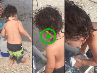 Adorable little boy unsuccessfully asks his dad for a beer (Video)