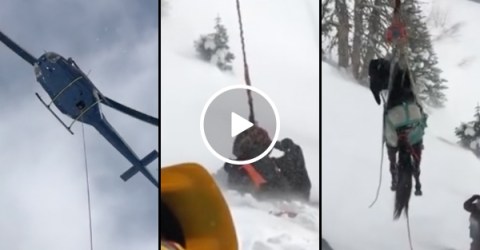 Horse stuck in ice gets rescued by helicopter (Video)