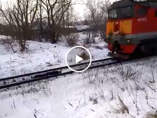 Russian kid lays underneath oncoming train (Video)