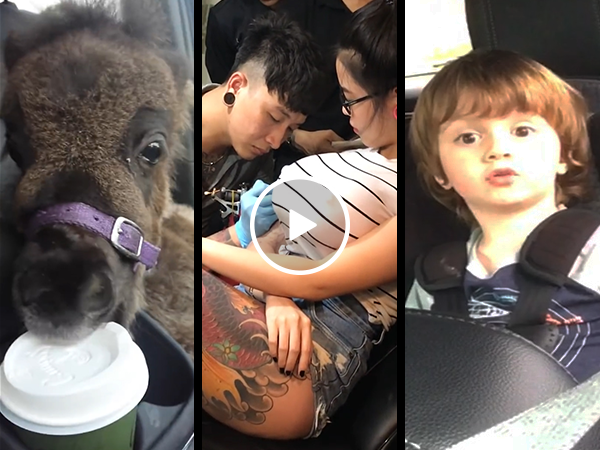 Boob job gone bad + more clips you need to see this week