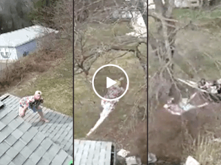 Man leaps off his house into a tree with predictable results (Video)