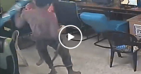 Scary moment snake slithers into internet cafe (Video)