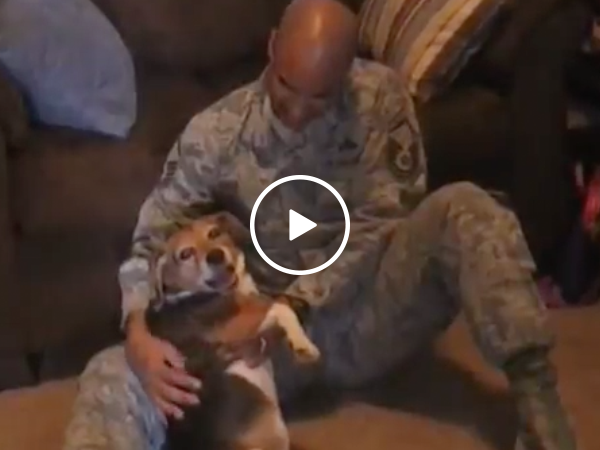 Soldier returns home to excited dog (Video)