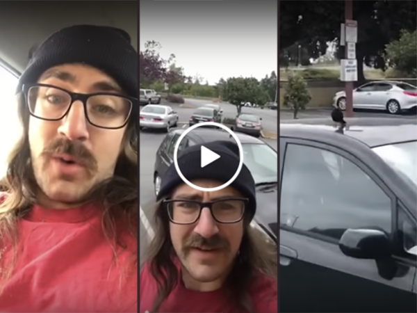 Bird flies into man who bothers it