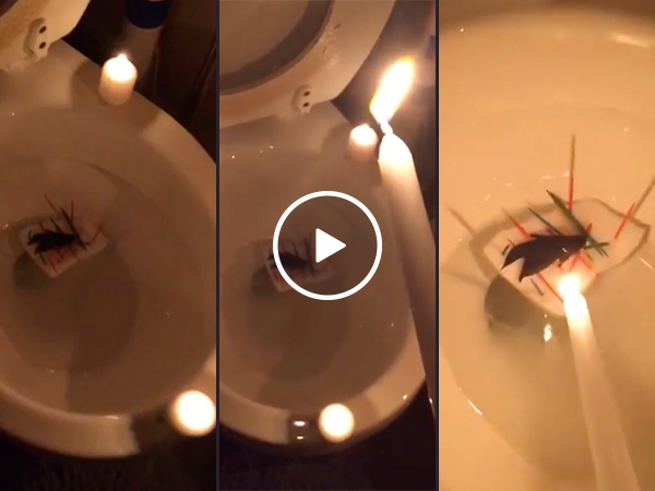 Enrique the Beta Fish gets the sendoff to Valhalla he deserves (Video)