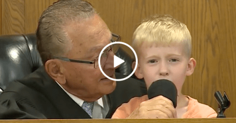 Little boy decides his father's parking fine in court (Video)
