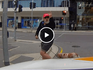 Angry pedestrian gets instant karma (Video)
