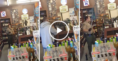 Policeman in liquor store catches a peacock (Video)