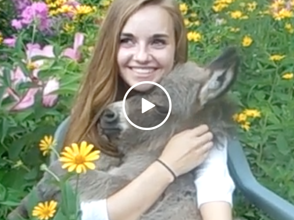 This girl This girl has an adorable ass (Video)as an adorable ass (Video)