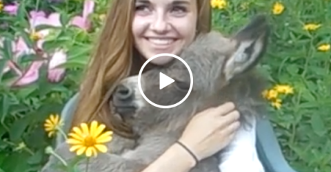 This girl This girl has an adorable ass (Video)as an adorable ass (Video)