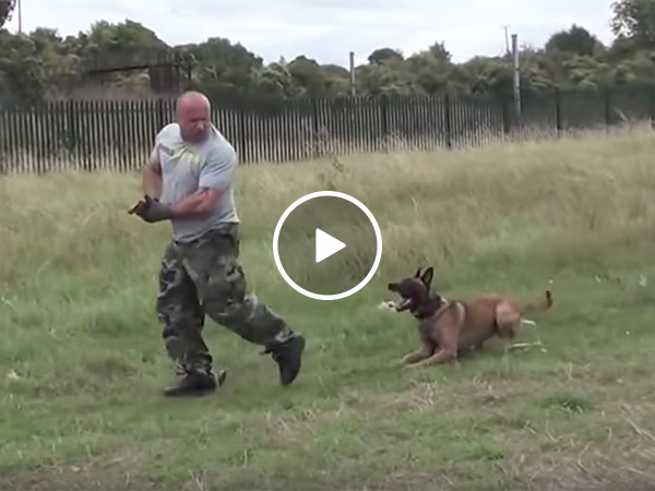 Police dog training