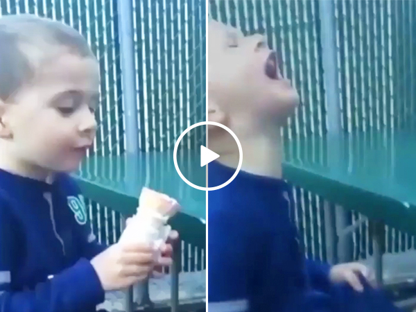 Little boy drops his ice cream, has anguish remixed into songs (Video)