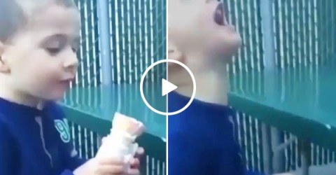 Little boy drops his ice cream, has anguish remixed into songs (Video)