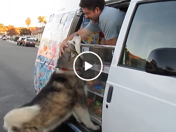 Ice cream man has the most loyal customer (Video)