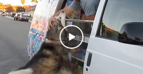 Ice cream man has the most loyal customer (Video)
