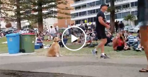Dog rolls around so owner doesn't take him home