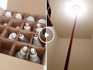 Guy comes up with ingenious NSFW way to change lightbulb (Video)