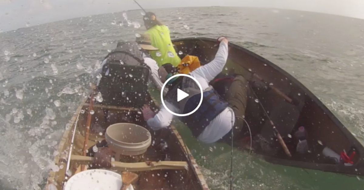Huge bull shark attacks guys fishing on canoes