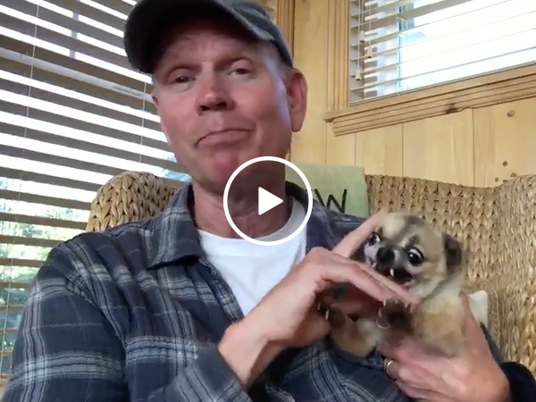 Animaniacs actor shows health benefits of petting vicious dog (Video)