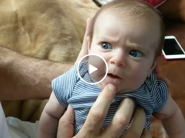 Dads and newborns: A better combination than PB & J (Video)