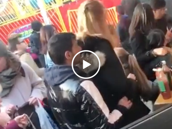 Pickpocket put in a chokehold of justice (Video)